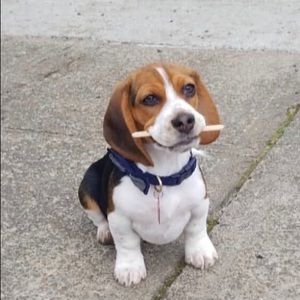 Meet your Posher, Alacia